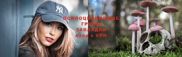 крисы Инсар